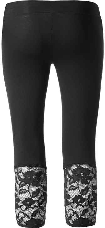 AI069A---019---Color_back