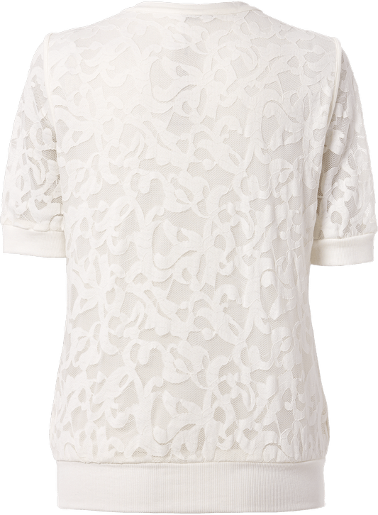 CM079B---2127---Color_back