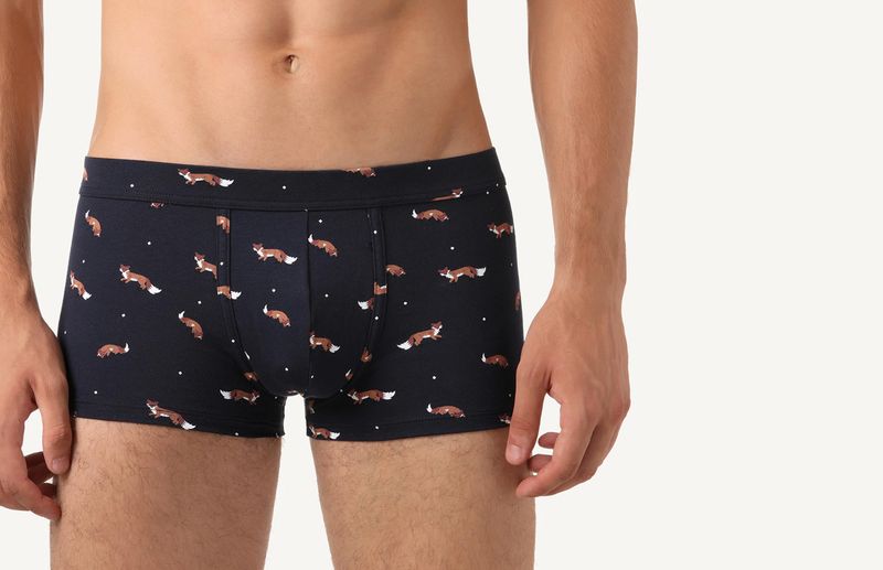 SBU792_9910_4-BOXER-DE-ALGODAO-ELASTICO-ESTAMPADO-RAPOSAS
