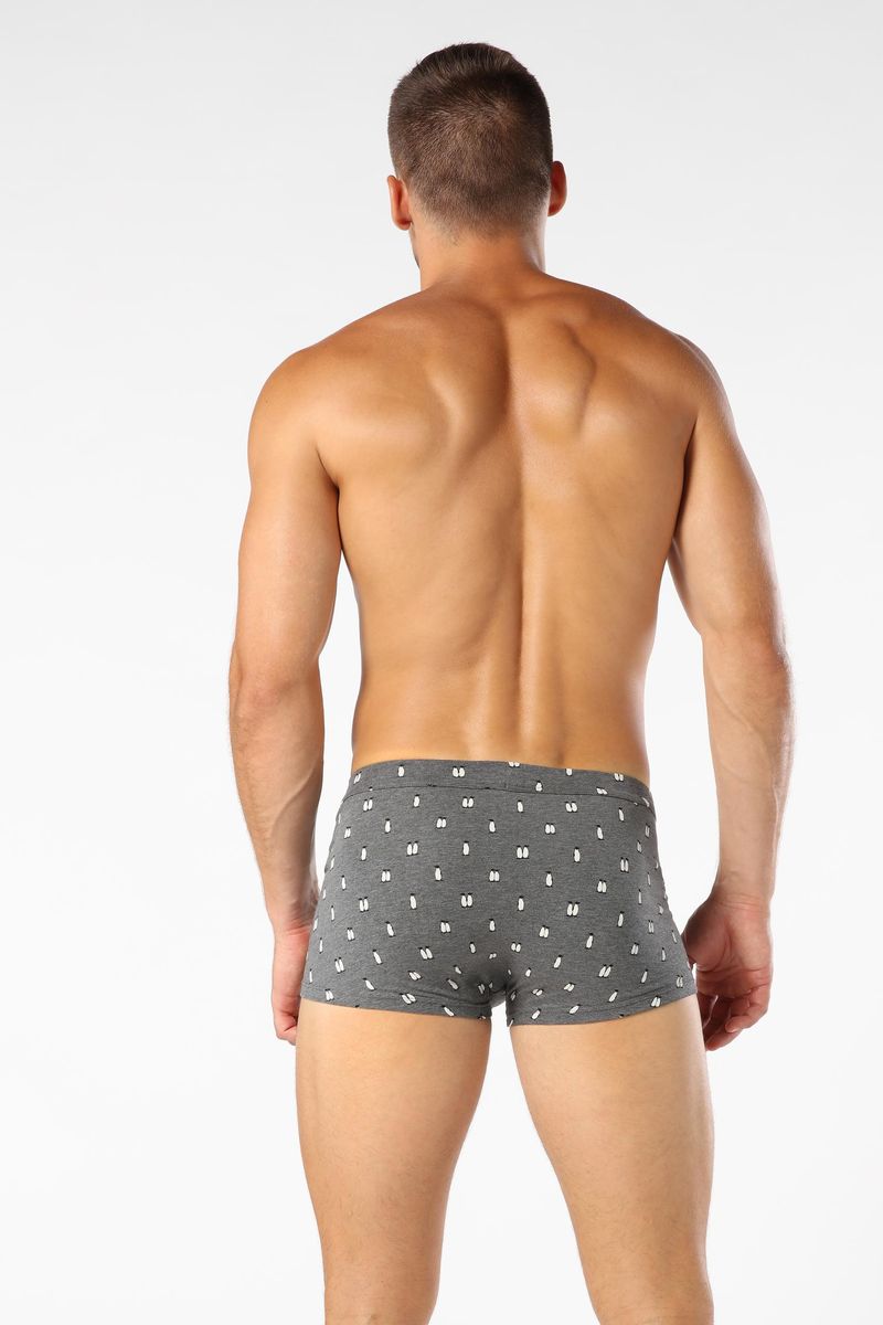 SBU828_1995_2-BOXERS-ALGODAO-ESTAMPADO-PINGUIM