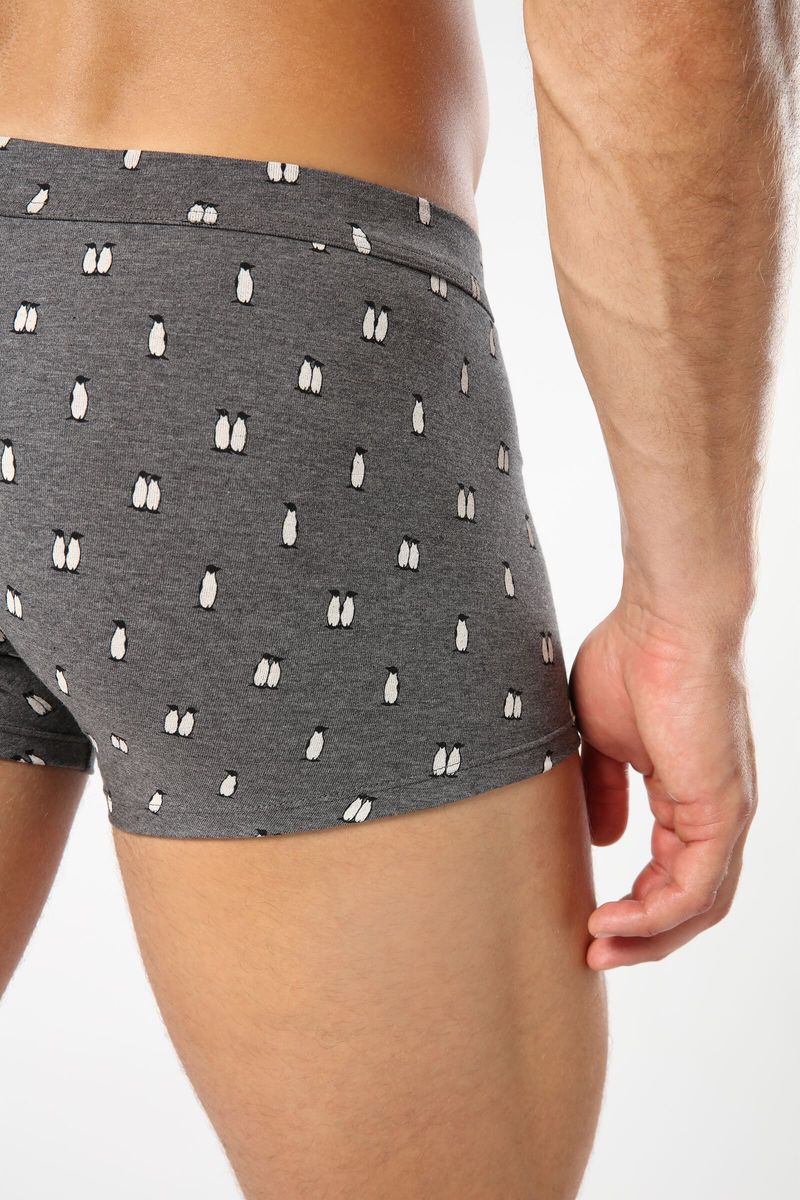 SBU828_1995_6-BOXERS-ALGODAO-ESTAMPADO-PINGUIM