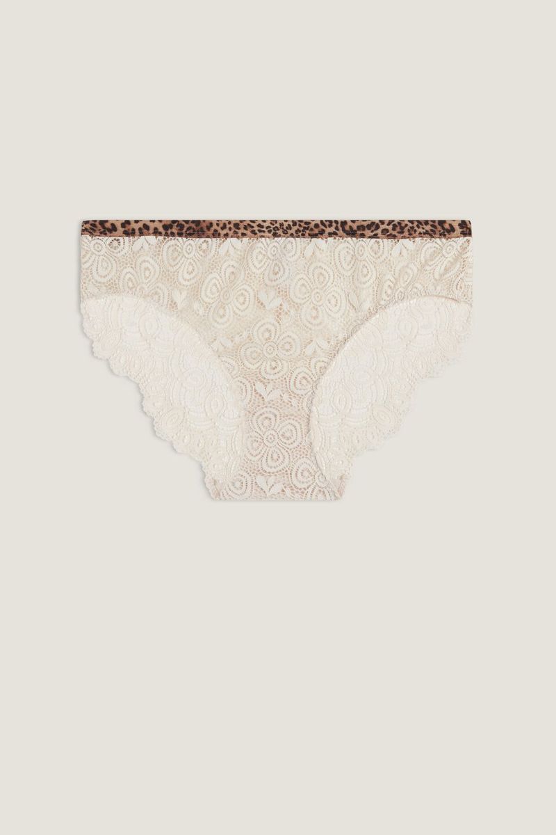 SID1397_2280_10-CUECA-LACY-LEOPARD