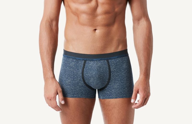 SBU763_7520_1-BOXERS-DE-ALGODAO-JACQUARD-COM-LOGOTIPO
