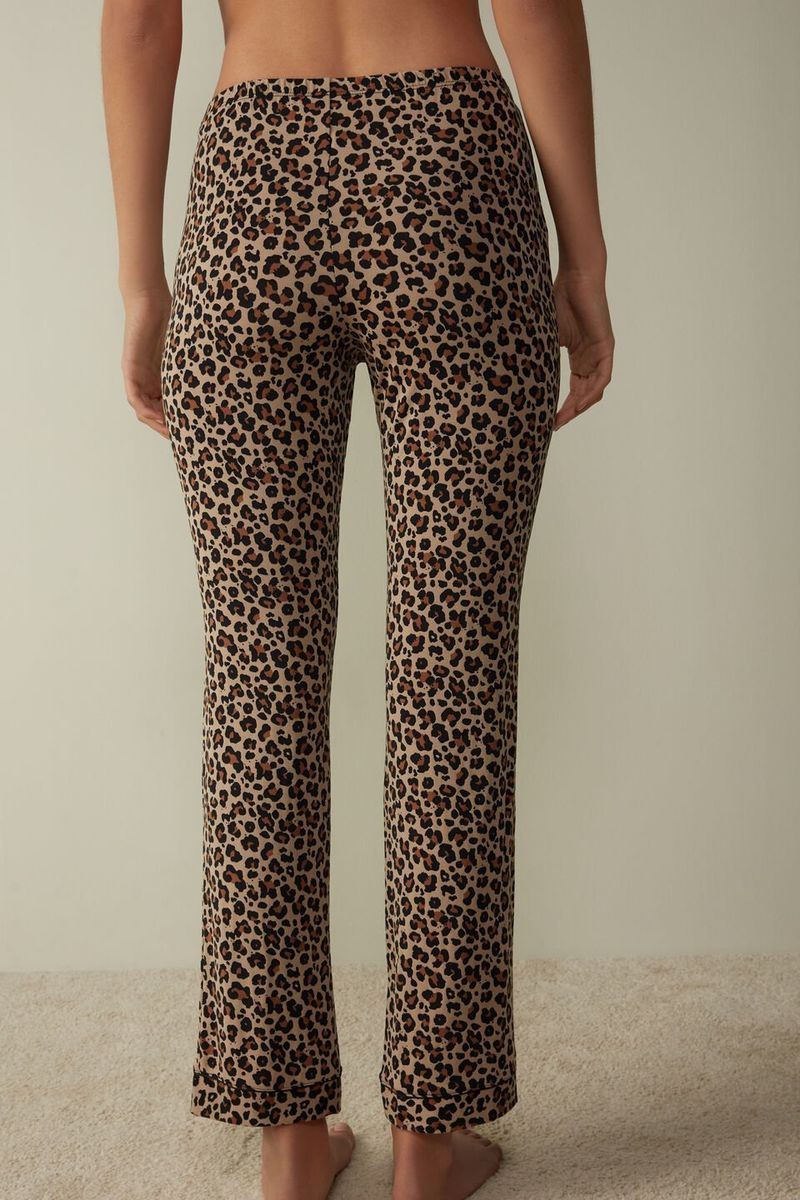 PDL2438_832I_2-CALCAS-EM-MODAL-ANIMAL-VIBES