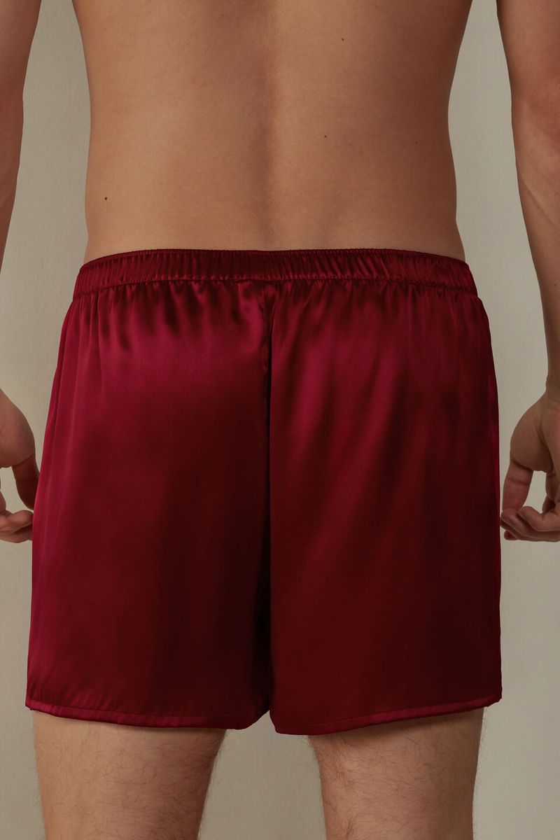 SBU986_1473_2-BOXERS-EM-SEDA