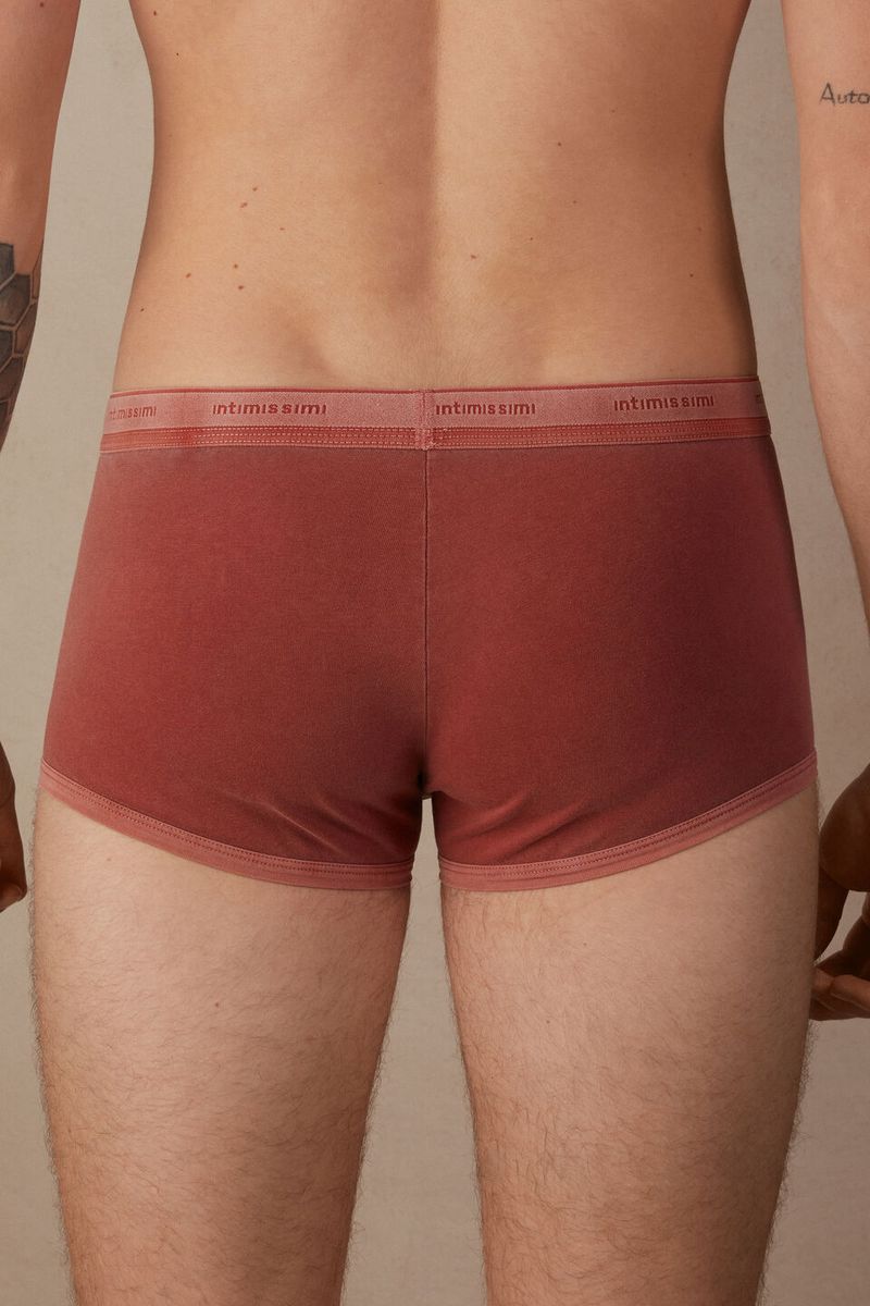 SBU977_163J_2-BOXERS-TINGIDOS-EM-PECA-EM-ALGODAO-SUPIMA®-ELASTICO