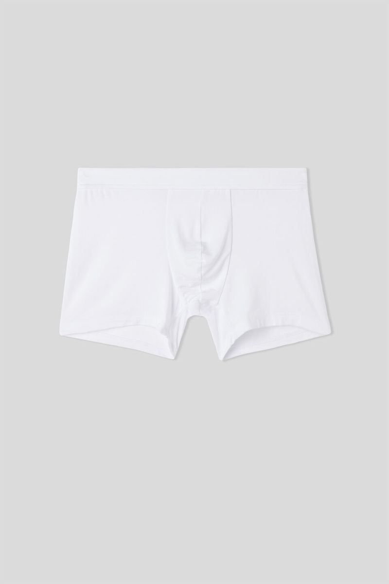 SBU23A_001_10-BOXER-IN-MODAL-E-SETA