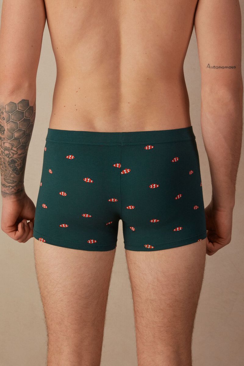 SBU451_308J_2-BOXERS-ESTAMPADO-EM-ALGODAO-SUPIMA®-ELASTICO-COM-ESTAMPADO-DE-PEIXES