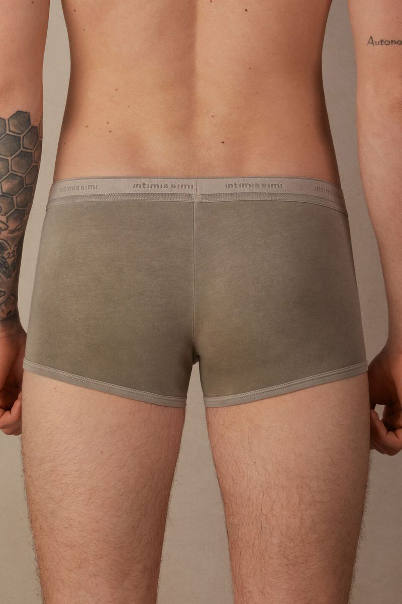 SBU977_166J_2-BOXERS-TINGIDOS-EM-PECA-EM-ALGODAO-SUPIMA®-ELASTICO