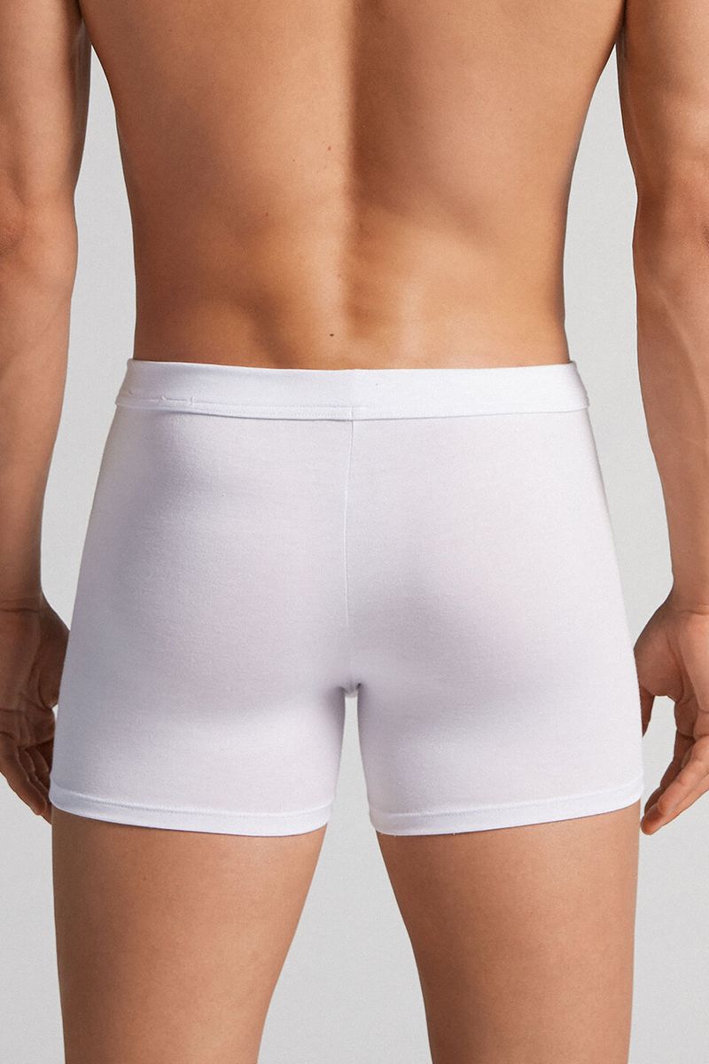 SBU23A_001_2-BOXERS-EM-MODAL-E-SEDA