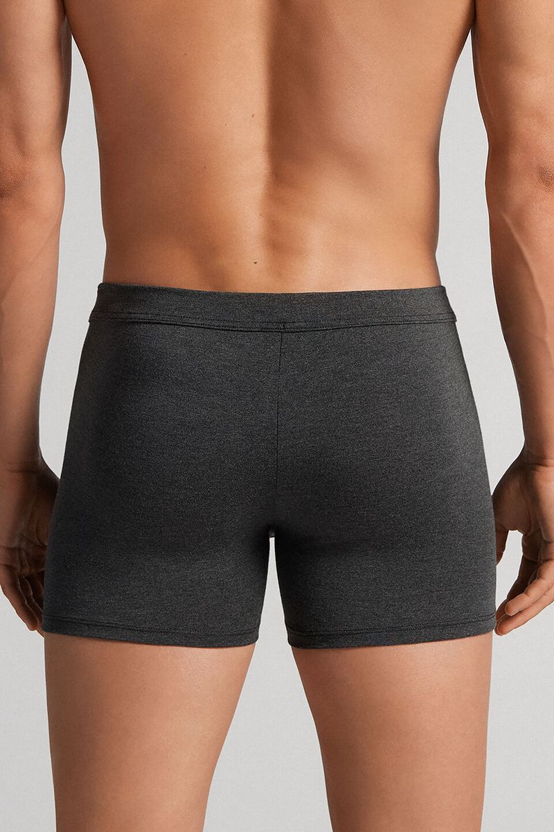 SBU23A_040_2-BOXERS-EM-MODAL-E-SEDA