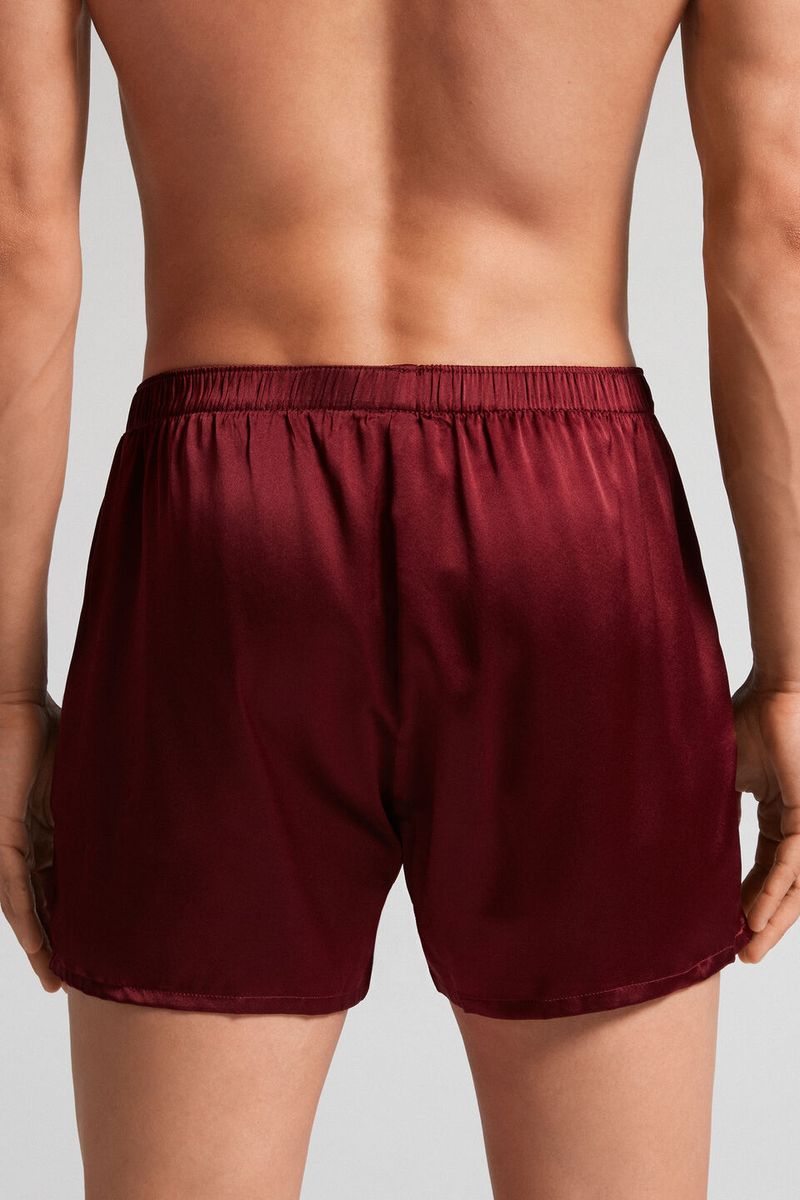 SBU986_225I_2-BOXERS-EM-SEDA