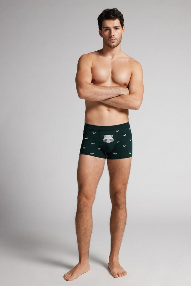 SBU173_426J_1-CUECA-BOXER-COM-ESTAMPA-DE-GUAXINIM-EM-ALGODAO-SUPIMA-ELASTICO