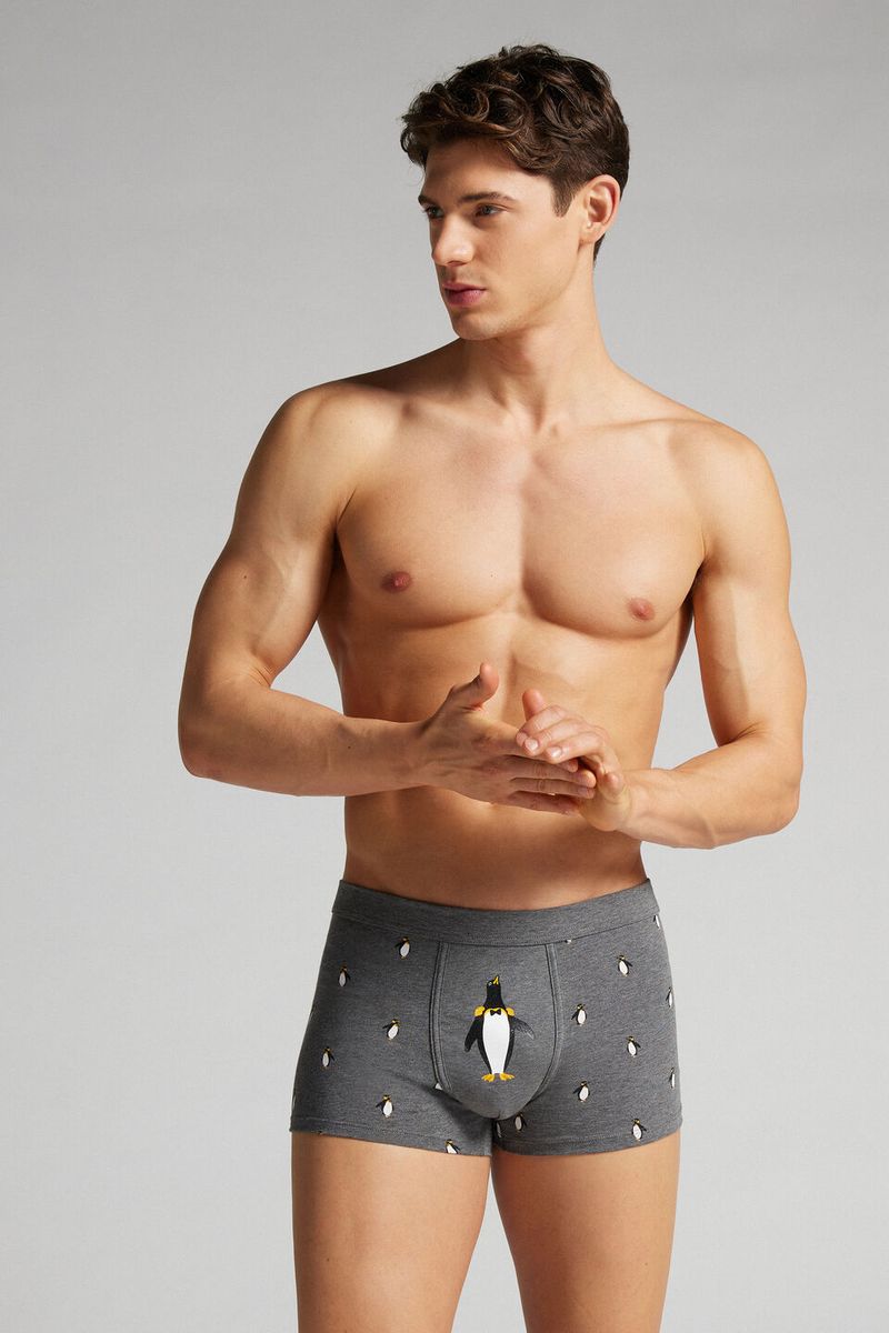SBU171_412J_1-BOXERS-EM-ALGODAO-SUPIMA®-ELASTICO-ESTAMPADO-PINGUIM