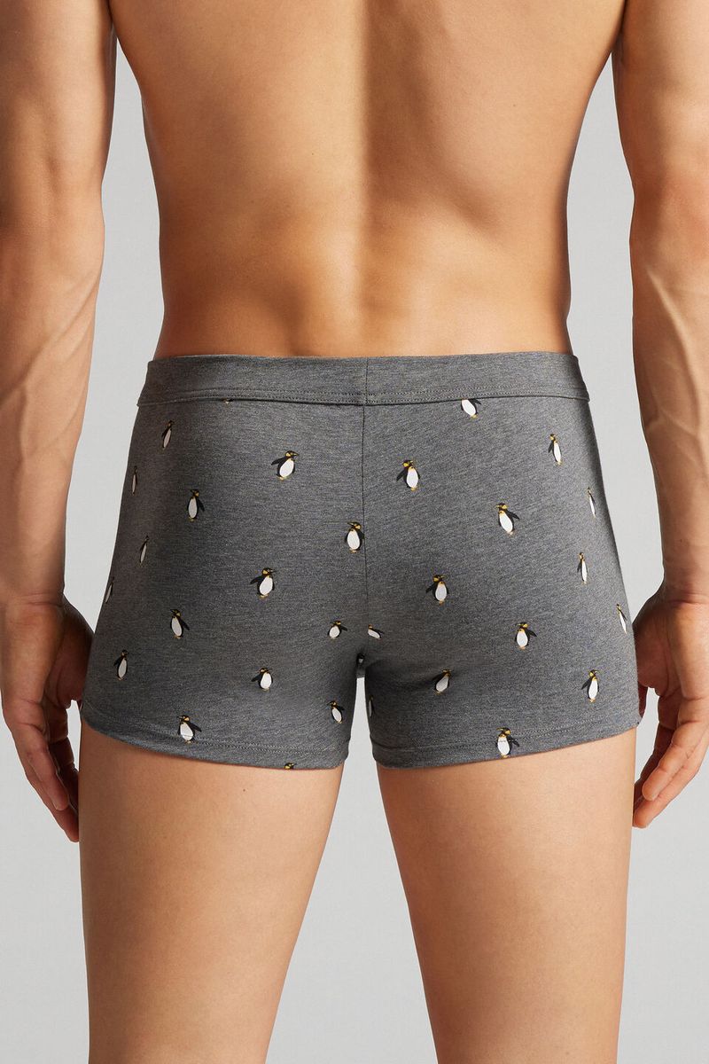 SBU171_412J_2-BOXERS-EM-ALGODAO-SUPIMA®-ELASTICO-ESTAMPADO-PINGUIM