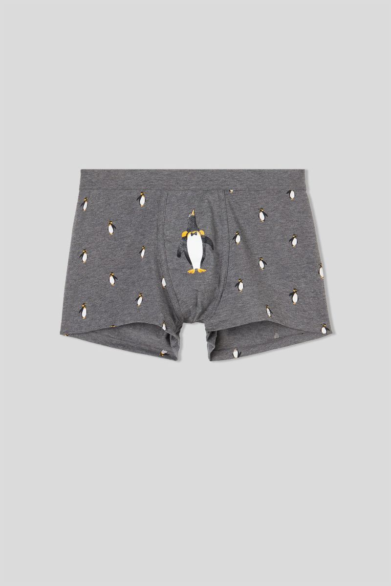 SBU171_412J_10-BOXERS-EM-ALGODAO-SUPIMA®-ELASTICO-ESTAMPADO-PINGUIM