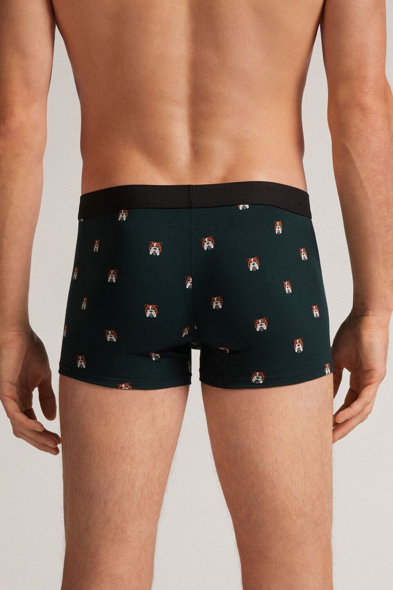 SBU032-695J-2-BOXER-BULLDOG-IN-COTONE-NATURAL-FRESH