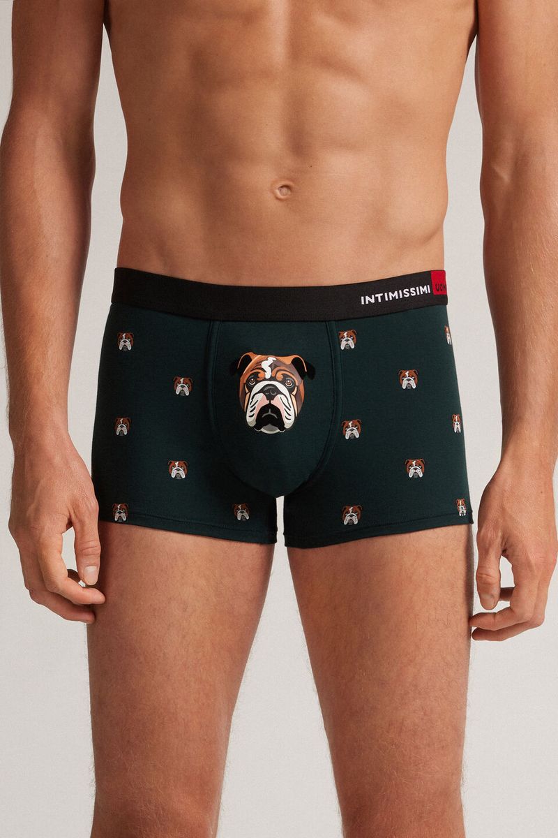 SBU032-695J-3-BOXER-BULLDOG-IN-COTONE-NATURAL-FRESH