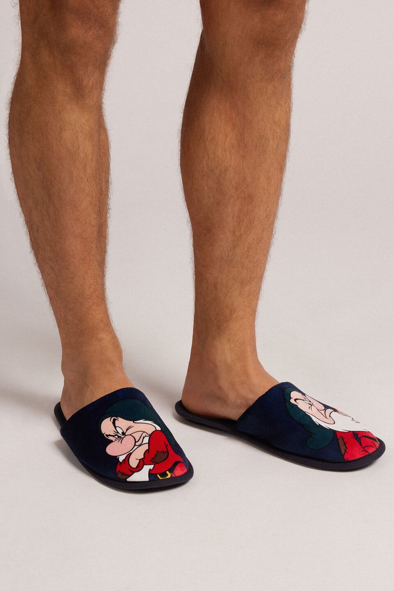 AI109U_800_1-PANTUFAS-©DISNEY-ZANGADO