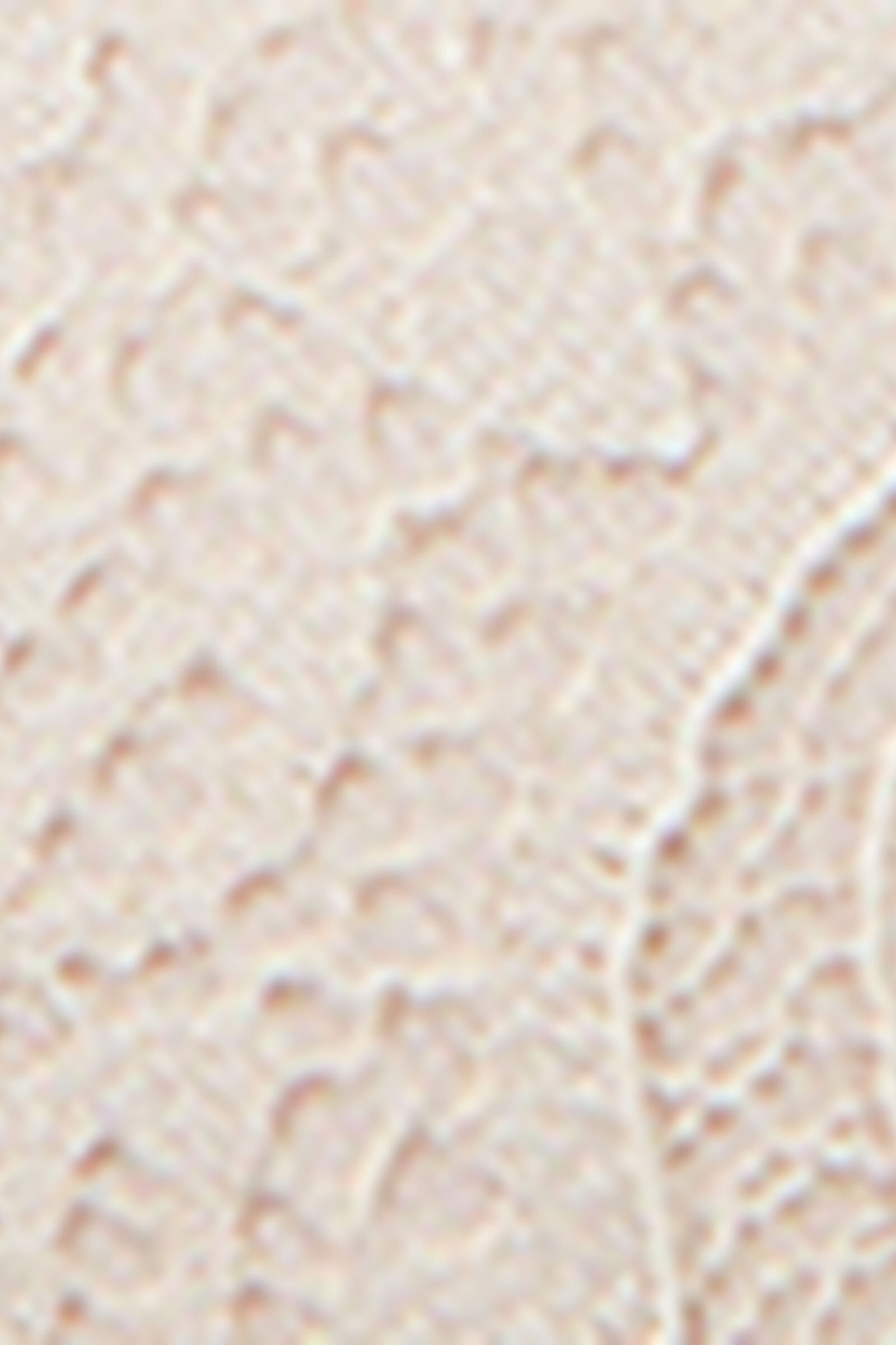 RPD97L_2280_19-