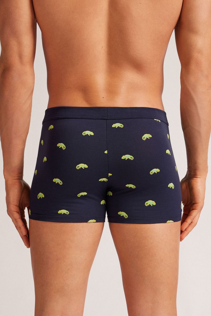 SBU54A_806J_2-BOXERS-ALGODAO-SUPERIOR-ESTAMPADO-CAMALEAO